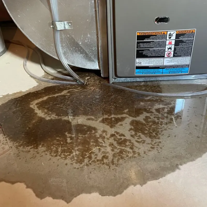 Pipe Burst and Leak Restoration in Moses Lake North, WA