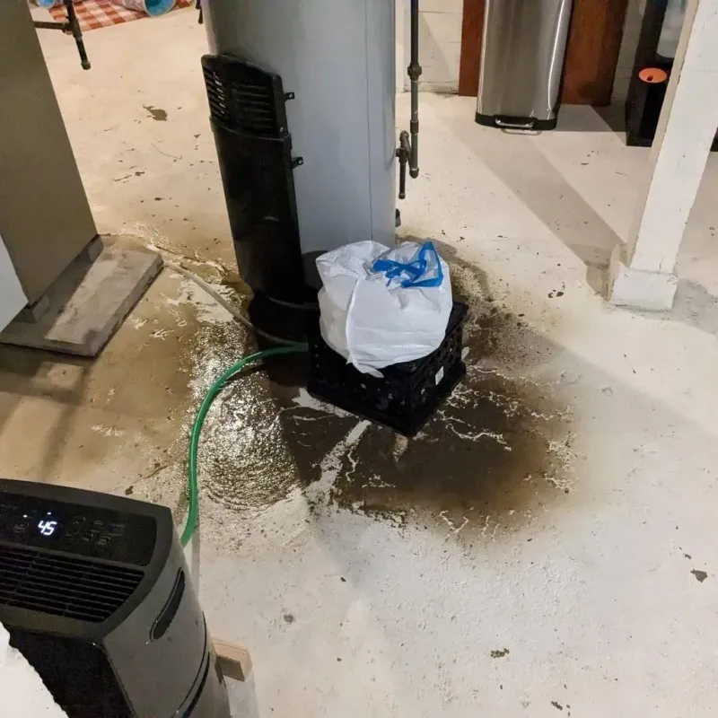 Sewage Backup Cleanup Service in Moses Lake North, WA